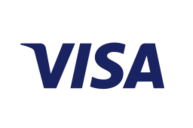 visa icon
